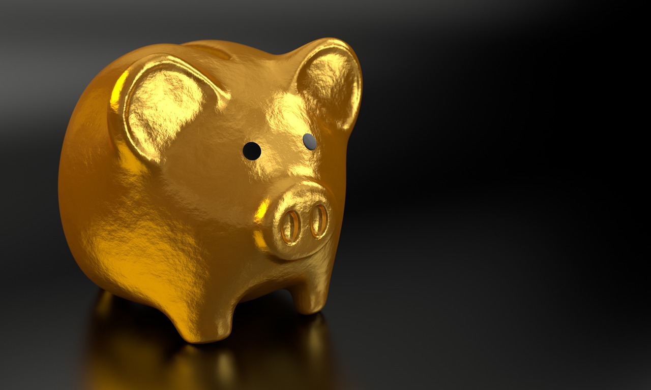 Invade your IRA without penalty